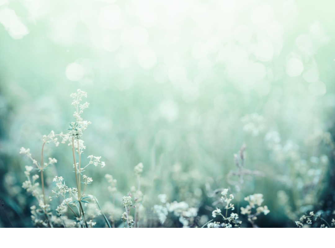 Fondo naturaleza Fondo naturaleza